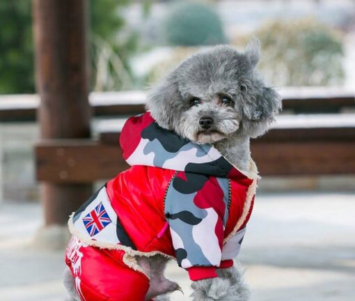 Caniche portant une Combinaison manteau d'hiver camouflage Rouge pour chien DOODOG