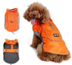 Caniche portant Veste Imperméable doublée pour chien et chiot RALLY Orange