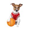 Jack Russel Ballon Maillot de Basket pour Chien JUMP Rouge - Comptoir des Petits Chiens