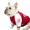 Bulldog Anglais Blouson baseball Teddy pour chien Rouge - Comptoir des Petits Chiens