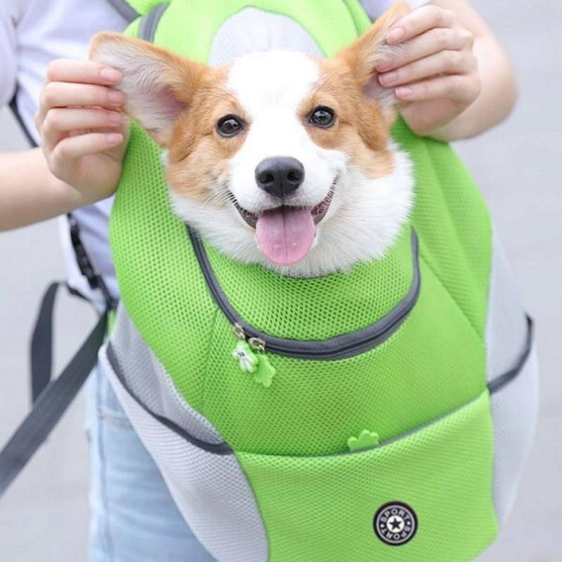 Harnais sac à dos ajustable pour chiens - Petits Compagnons