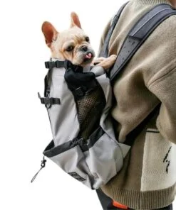 Tout pour mon chien  Sac pour chien, Mode pour chien, Chien