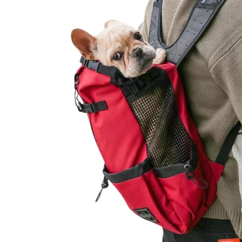 Sacoche de randonnée pour chien