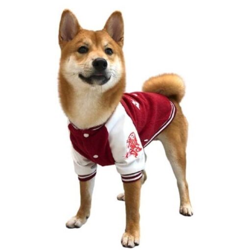 Shiba Blouson baseball Teddy pour chien Rouge - Comptoir des Petits Chiens