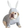 Sweat à Capuche pour chien Pull à capuche pour chien oreilles de lapin porté par un bulldog français