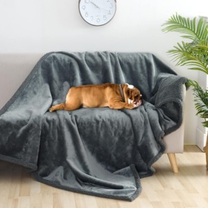 couverture de canape impermeable pour chien sheka grise bulldog comptoir des petits chiens - Comptoir des Petits Chiens