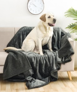 Labrador sur une Couverture de Canapé Imperméable pour Chien SHEKA - Comptoir des Petits Chiens