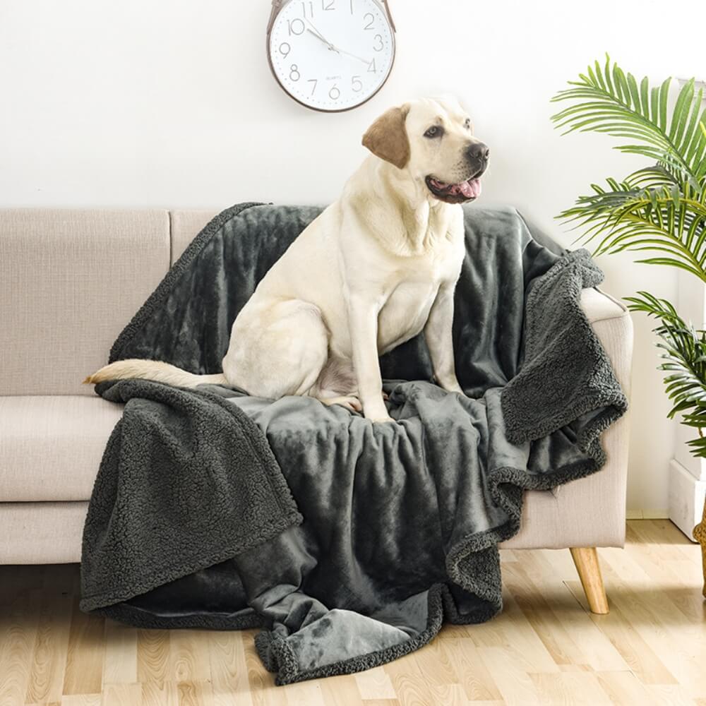 MOJARI Couverture en velours pour chien/canapé, couverture de canapé  épaisse, protection contre les rayures, 1, 2, 3, 4 places, jeté de canapé  en