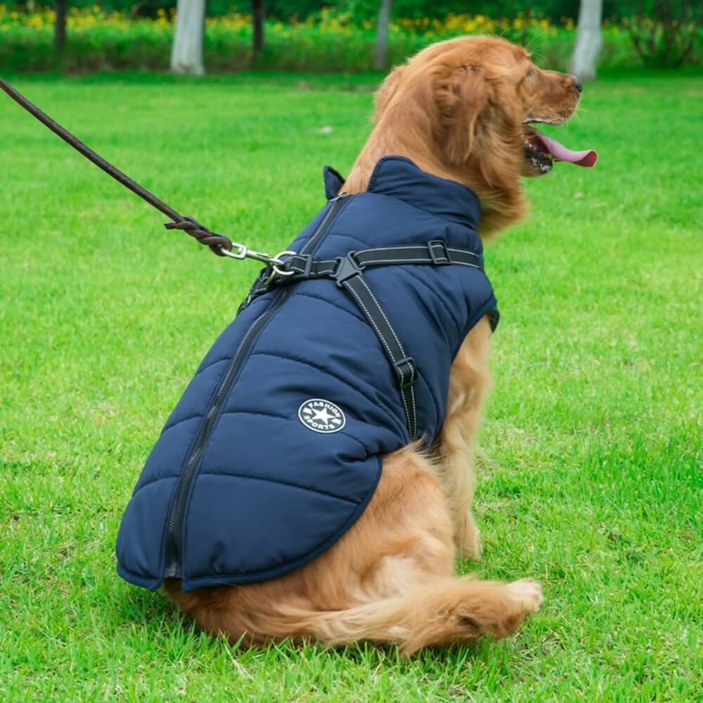 manteau chien avec ouverture pour harnais