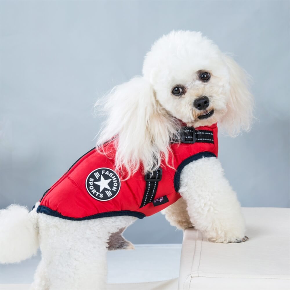 manteau rouge pour chien