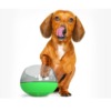 Teckel Bol à Alimentation Lente pour chien BETSY - Comptoir des Petits Chiens